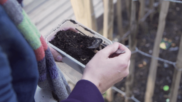putting soil